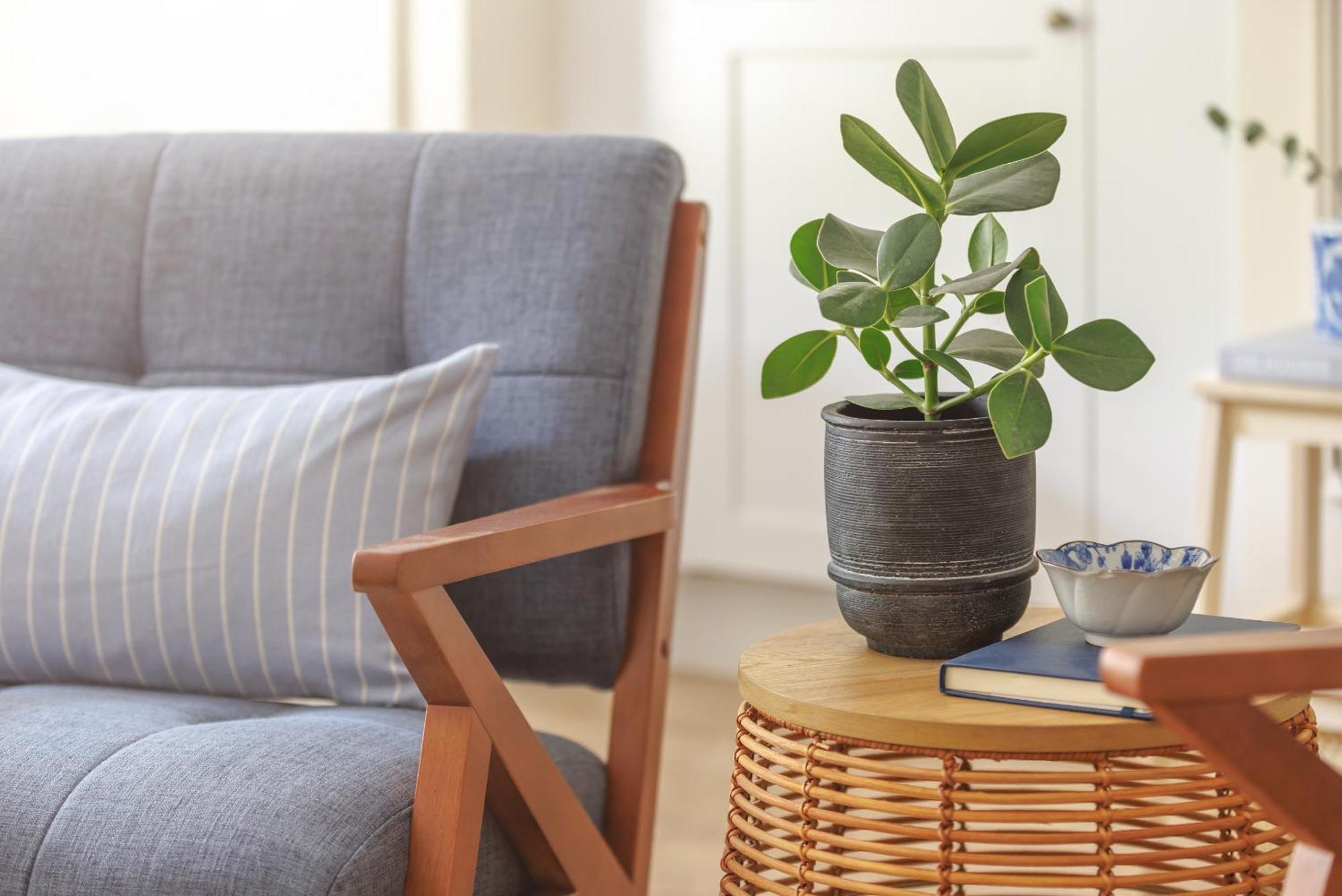 Ocean City Stylish Apartment Plymouth Zewnętrze zdjęcie
